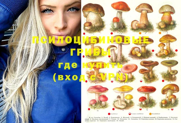 СК Ступино